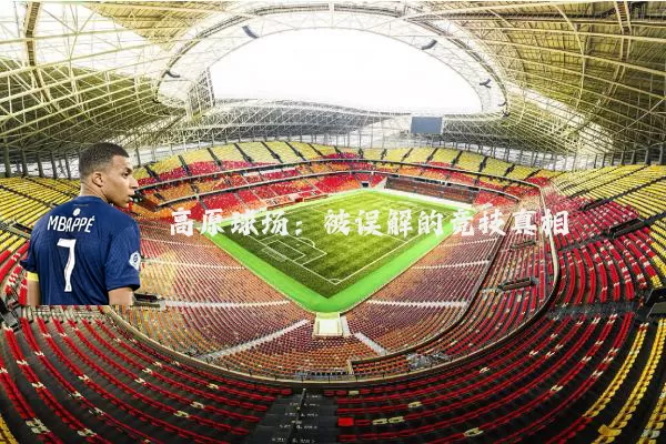 高原球场：被误解的竞技真相